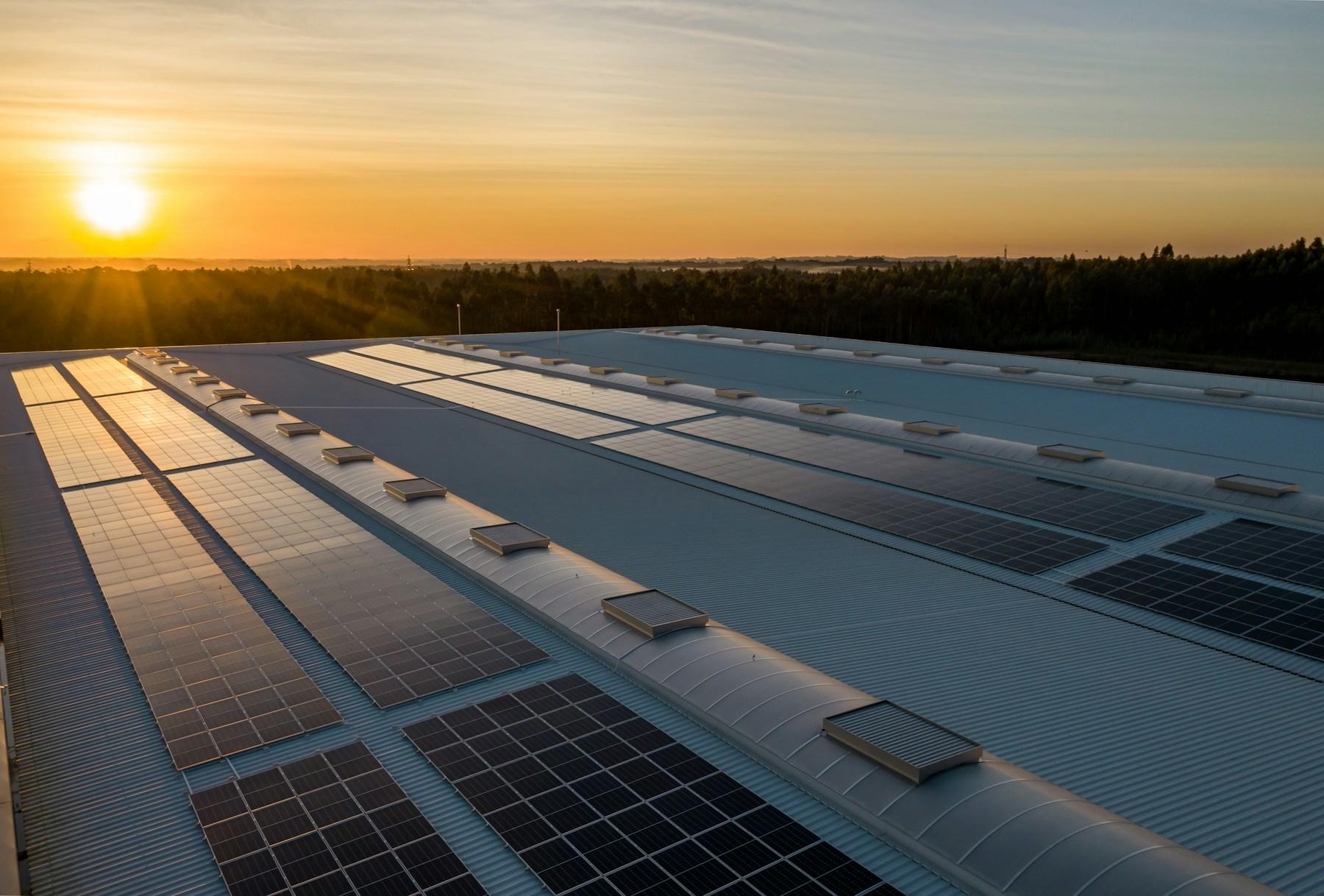 Luz do fim de tarde sobre uma instalação de painéis solares