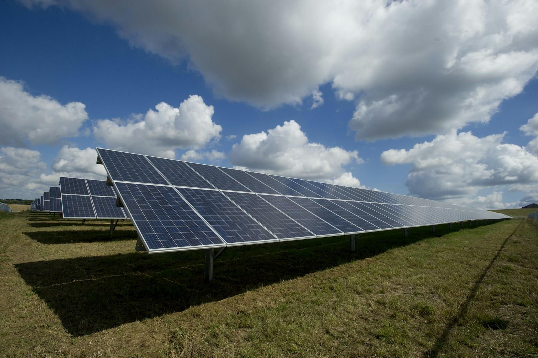 Painéis solares em uma área verde, sob a luz do sol